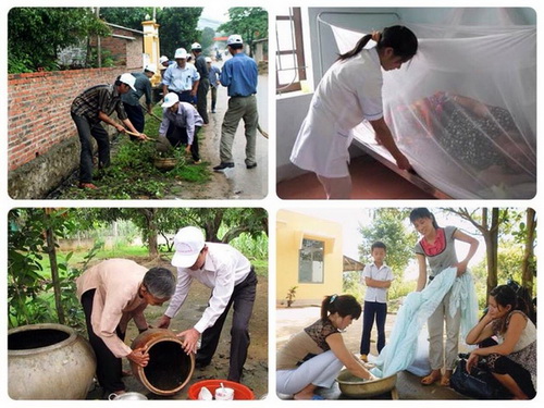 10 Cách Đuổi Muỗi Trong Phòng Hiệu Quả Ai Cũng Làm Được