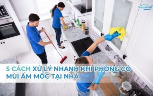 Giữ Phòng Luôn Thơm Mát Cả Ngày: Bí Quyết Đơn Giản Mà Hiệu Quả