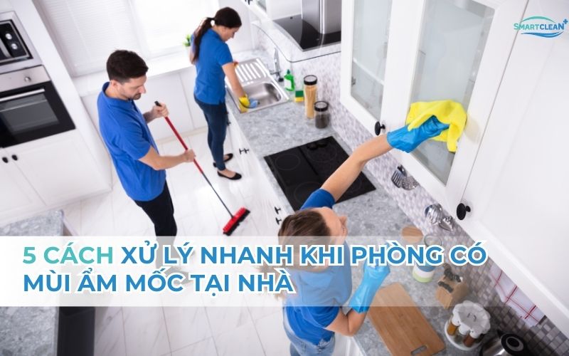Giữ Phòng Luôn Thơm Mát Cả Ngày: Bí Quyết Đơn Giản Mà Hiệu Quả