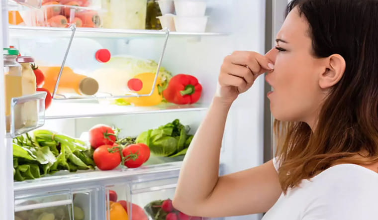 10 Cách Khử Mùi Tủ Lạnh Nhanh Bằng Nguyên Liệu Có Sẵn